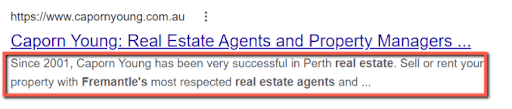 Screenshot of a Google search description tag example